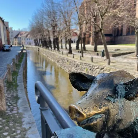 Dock 07 - Modernes 4 Sterne-ferienapartment Direkt Am Hafen * Wißmar